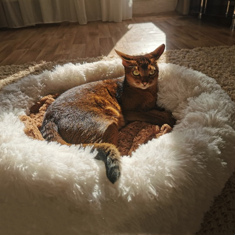 Anxiety Soothing Pet Beds